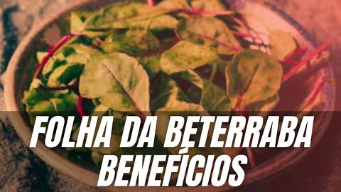 Folha de beterraba - benefícios