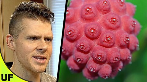 Most Disappointing Berrry?? Kousa Dogwood Berry Taste Test | Unusual Foods