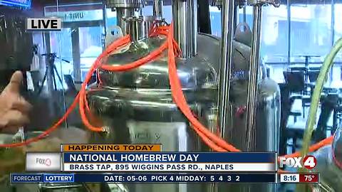 Celebrate National Homebrew Day