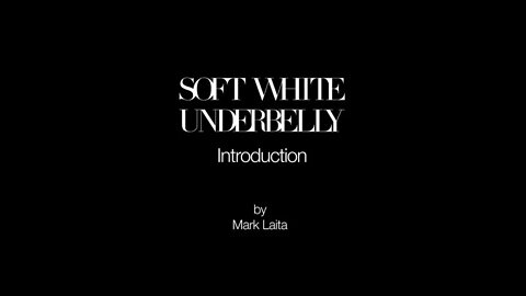 Introduction video to Soft White Underbelly Channel - Link in Description