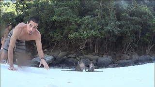 Man Attacked by Monkeys on Monkey Island