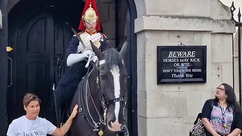 Kings guard tells Off 5 tourist's. one said to him you don't seem happy 😆 😂 🤣 #horseguardsparade