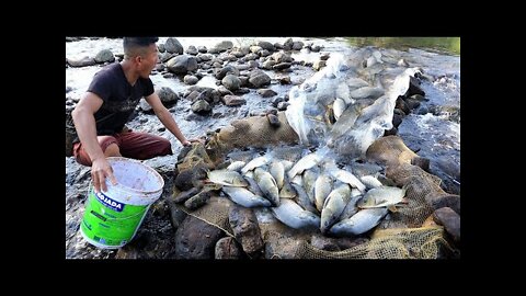 Unbelievable Monster Fishing From Underground River Hole With Chicken | #Best_Fish #Catching_Video →