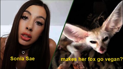 Sonia Sae, a fox CANNOT be vegan!