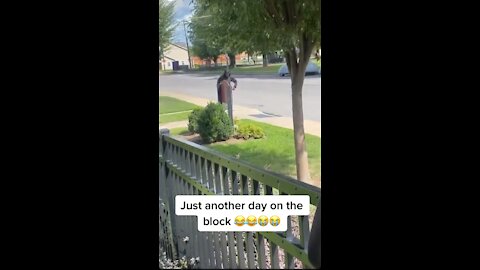 Guy dances down the street