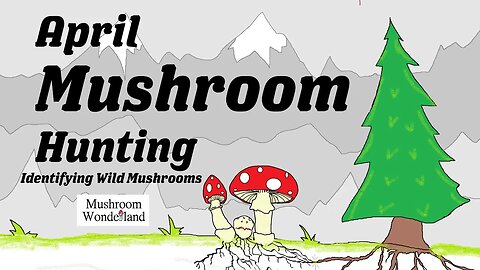 April Mushroom Hunting- Wild Mushrooms Identified!
