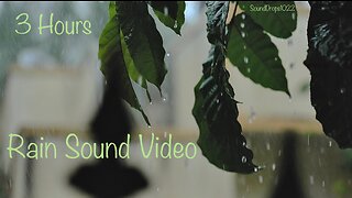 Rainy Evening Bliss: 3-Hour Relaxing Ambience