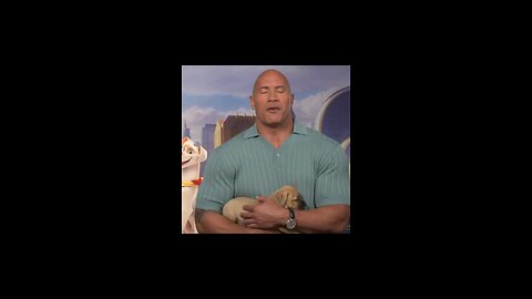 The rock and kevin hart with puppy funny moments