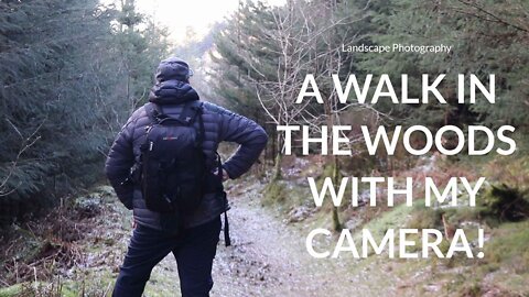 A Walk In The Woods With The Camera (2021)