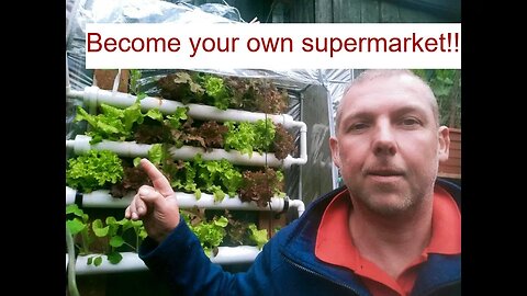 Growing food in small spaces. Being more self sufficient.