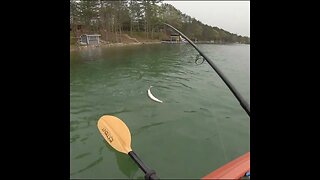 trout from a kayak