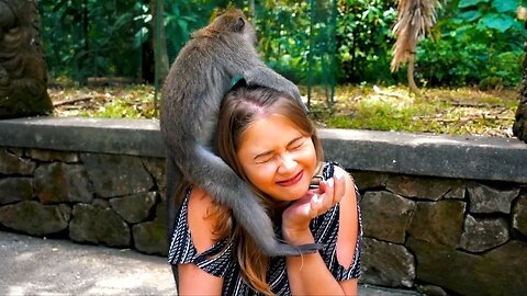 IF YOU LIKE MONKEYS YOU MUST GO HERE 🐒 UBUD MONKEY FOREST, INDONESIA