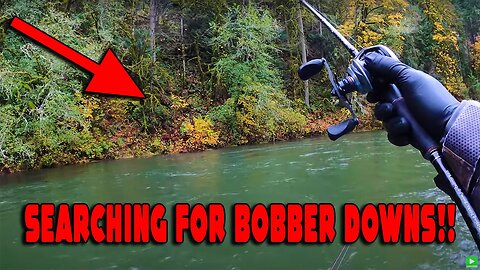 Catch, Clean, & CURE! Can We GET Some BOBBER DOWNS?!