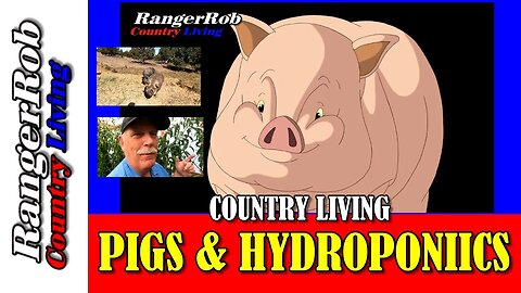 Transform Your Harvest with Idaho Pasture Pigs & Hydroponic Tomatoes