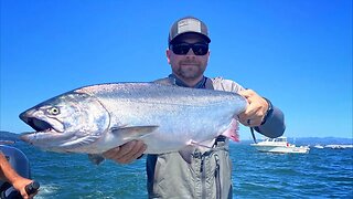 Astoria Salmon Fishing LIVE! (Part 2)