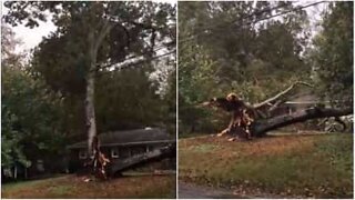 Árvore destrói casa na Carolina do norte