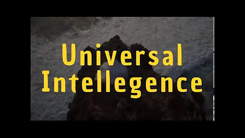 Awaken to Universal Intelligence