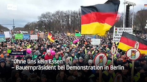 "Ohne uns kein Essen" – Bauernpräsident bei Demonstration in Berlin