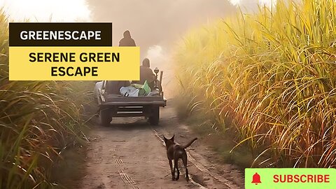 Discover Serenity in Green Escape: A Nature Haven