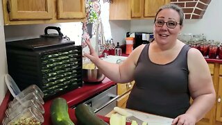 Dehydrating Zucchini- Preserving Your Harvest