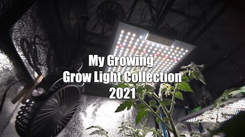 My Growing Grow Light Collection 2021