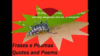 Fake friends are like the dengue mosquito: Are very dangerous! [Quotes and Poems]