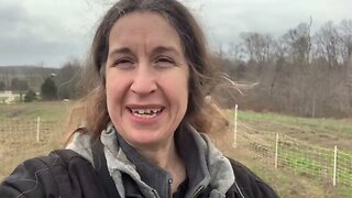 Spring on the homestead #homesteading #spring #weather #sheep