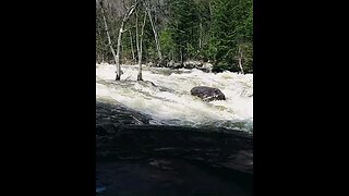 The beauties of Canadian nature #waterfall #northeast #canadianadventures #shorts