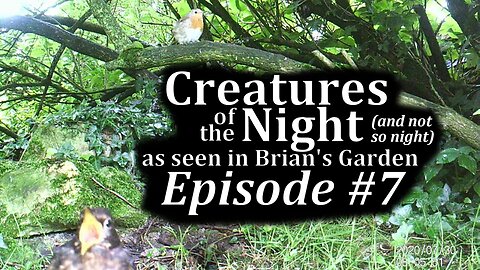 Creatures of the Night 07