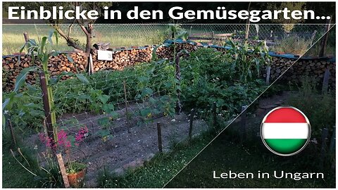 Einblicke in den Gemüsegarten - Leben in Ungarn