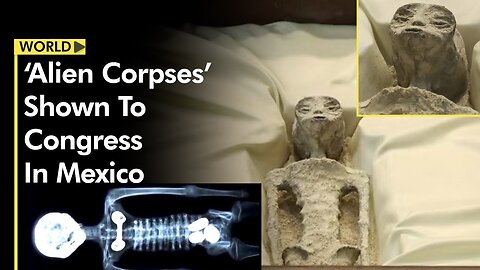 Alien Shown To Congress In Mexico - Reaction and Fakery Analysis