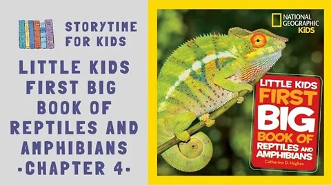 🐊 Chapter 4 • Little Kids First Big Book Of Reptiles and Amphibians • Hughes @storytimeforkids123
