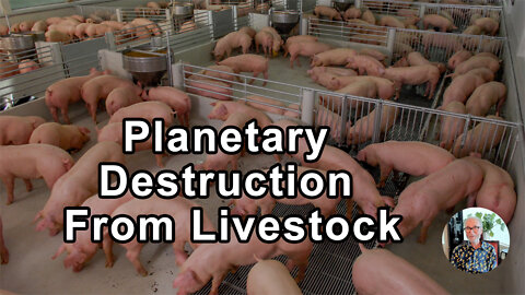 The Main Cause Of Planetary Destruction Is Livestock - John McDougall, MD - Interview