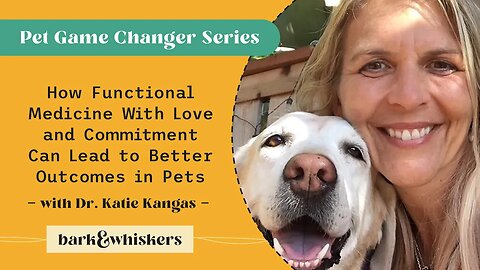 How Functional Medicine With Love and Commitment Can Lead to Better Outcomes in Pets