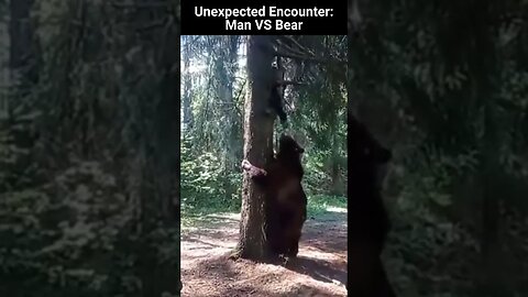 Unexpected Encounter - Man Climbing Tree to Escape Bear in Heart Pounding Moment