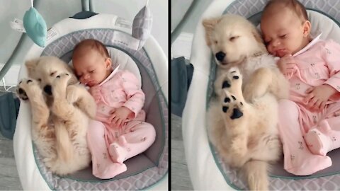 Cute Puppy and Cut Baby Sleeping Together |