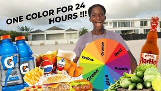 one color 24 hours challenge