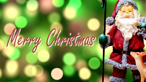 Merry Christmas & Happy Holidays Greeting Card (6)