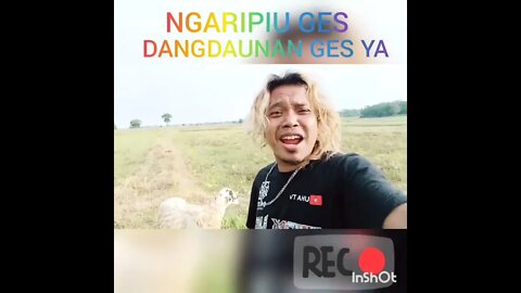 Kumpulan Video Lucu | Kang Iwank #videolucuterbaru #videoviral #ngakak