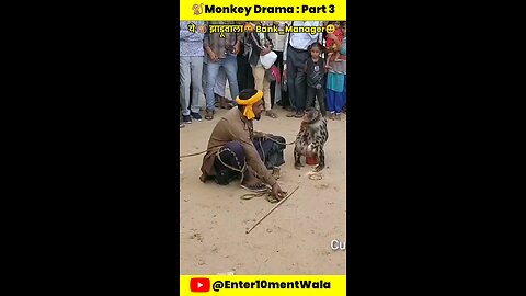 monkey dream 😁🤣 #monkey #funny #viral