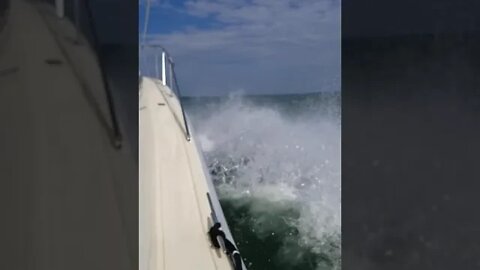 6 man limit of lake Erie walleye in the cooler and rolling!