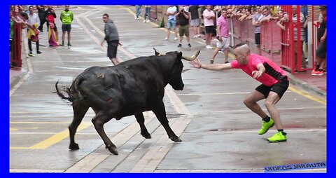 MILAGRO ( NAVARRA ) TARDE VACAS CALLE ( SABADO 17 JUNIO 2023 ) GANAD.SANTOS ZAPATERIA