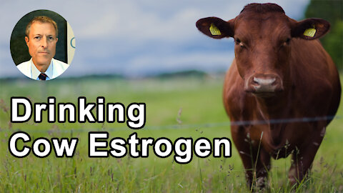 When You Drink A Glass Of Milk Or Eat A Slice A Cheese, You Are Getting Estrogens From The Cow