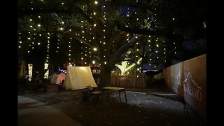 Christmas lights at the Alamo.