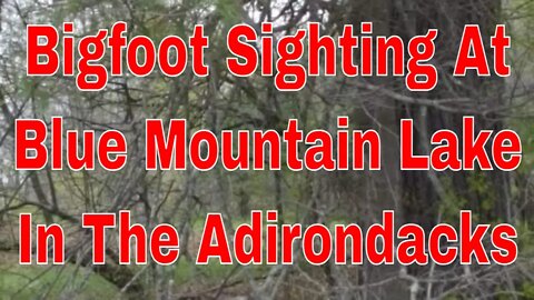 Bigfoot Sighting At Blue Mountain Lake In The Adirondacks