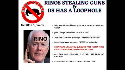 RINOs Stealing Our Guns & Deep State Has A LoopHole