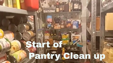 My Pantry Overhaul 🫙🫙#prepping#canning #frugal#preserving #pantryorganization #pantryorganizing