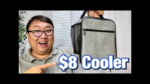 Cheapest Insulated Lunchbox Cooler Review