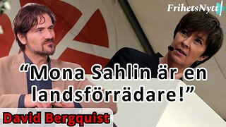 David Bergquist: "Är Mona Sahlin en landsförrädare?"