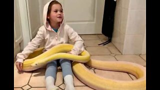 Girl plays with giant python on kitchen floor